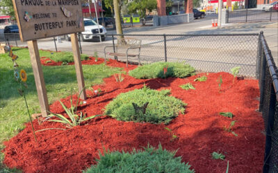 Parque de Mariposa fue embellecido